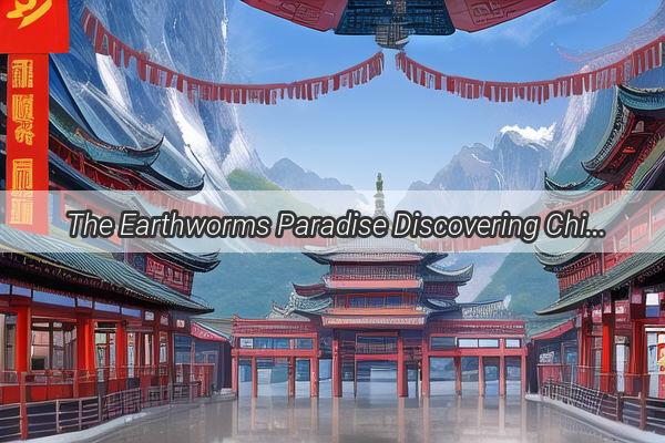 The Earthworms Paradise Discovering Chinas Most Abundant Worm Haven